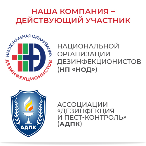 НОД и АДПК